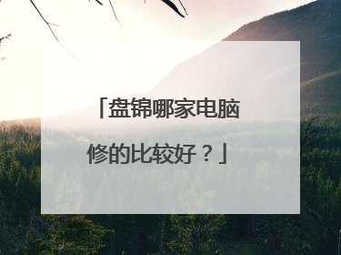 盘锦哪家电脑修的比较好?