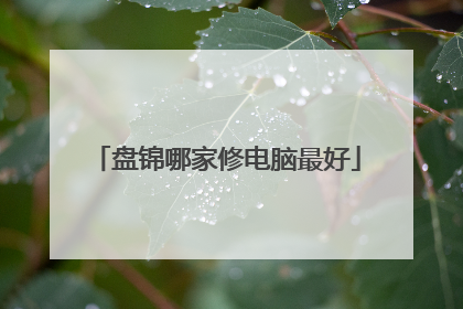 盘锦哪家修电脑最好