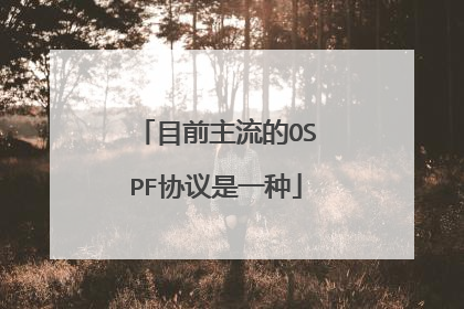 目前主流的OSPF协议是一种