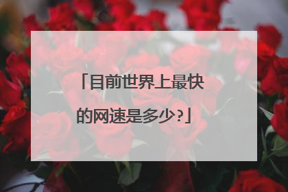 目前世界上最快的网速是多少?