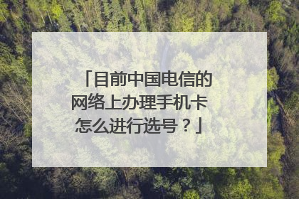 目前中国电信的网络上办理手机卡怎么进行选号？