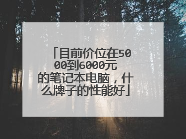 目前价位在5000到6000元的笔记本电脑，什么牌子的性能好