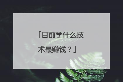 目前学什么技术最赚钱？