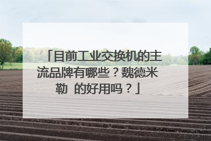 目前工业交换机的主流品牌有哪些？魏德米勒 的好用吗？