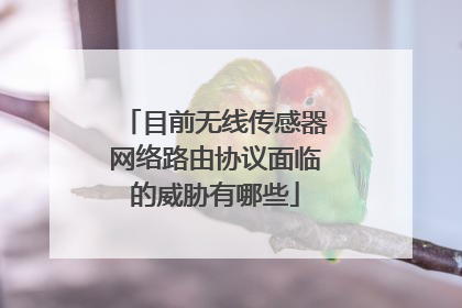 目前无线传感器网络路由协议面临的威胁有哪些