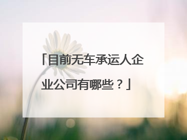 目前无车承运人企业公司有哪些？