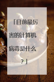 目前最厉害的计算机病毒是什么？