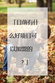 目前有什么好项目可以加盟的 ？