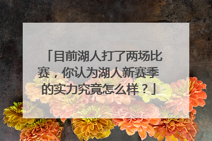 目前湖人打了两场比赛，你认为湖人新赛季的实力究竟怎么样？