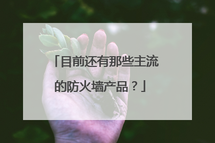 目前还有那些主流的防火墙产品？