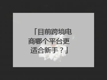 目前跨境电商哪个平台更适合新手？