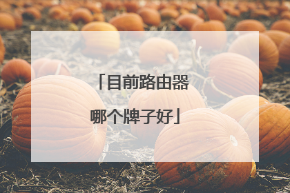 目前路由器哪个牌子好