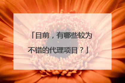 目前，有哪些较为不错的代理项目？