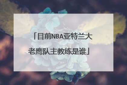 目前NBA亚特兰大老鹰队主教练是谁