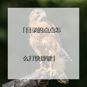 目录的点点怎么打快捷键