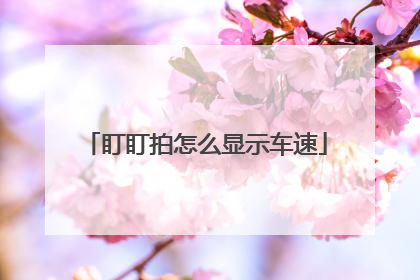盯盯拍怎么显示车速