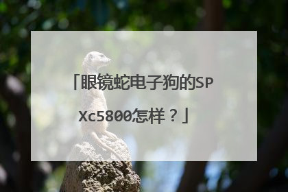 眼镜蛇电子狗的SPXc5800怎样?