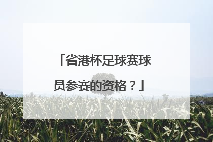 省港杯足球赛球员参赛的资格？