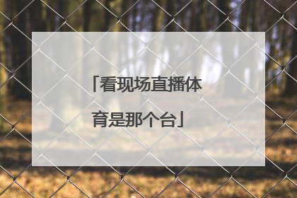 看现场直播体育是那个台