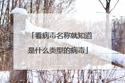 看病毒名称就知道是什么类型的病毒