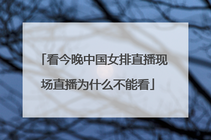 看今晚中国女排直播现场直播为什么不能看