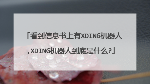 看到信息书上有XDING机器人,XDING机器人到底是什么?
