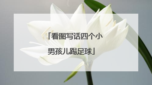 看图写话四个小男孩儿踢足球