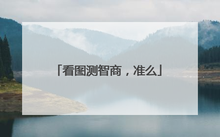 看图测智商,准么