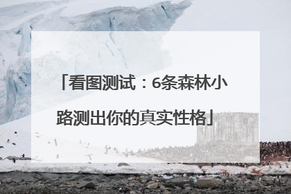 看图测试：6条森林小路测出你的真实性格