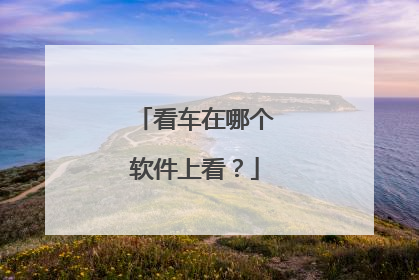 看车在哪个软件上看?