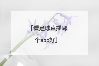 看足球直播哪个app好