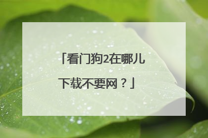 看门狗2在哪儿下载不要网?