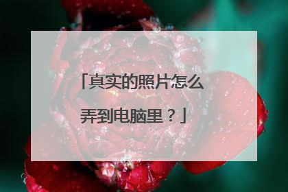 真实的照片怎么弄到电脑里？