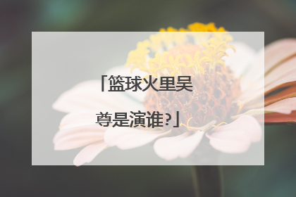 篮球火里吴尊是演谁?