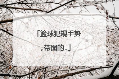 篮球犯规手势,带图的.