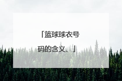 篮球球衣号码的含义、