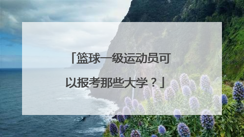 篮球一级运动员可以报考那些大学?