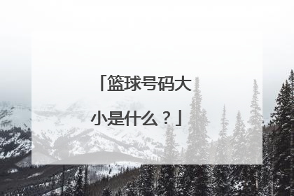 篮球号码大小是什么?
