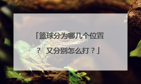篮球分为哪几个位置? 又分别怎么打?