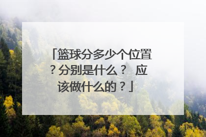 篮球分多少个位置？分别是什么？ 应该做什么的？