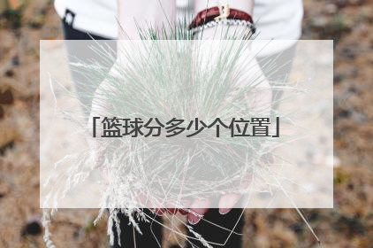 篮球分多少个位置