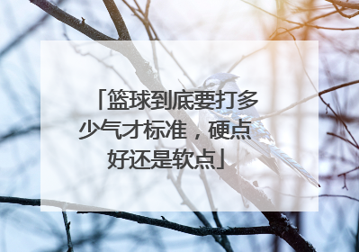 篮球到底要打多少气才标准,硬点好还是软点