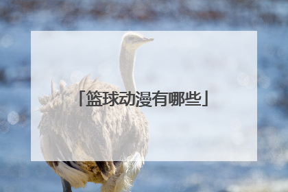 篮球动漫有哪些
