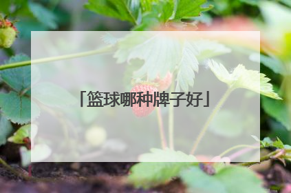 篮球哪种牌子好