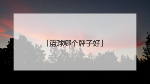 篮球哪个牌子好