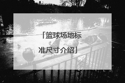 篮球场地标准尺寸介绍