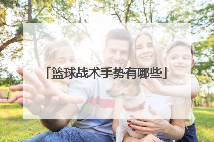 篮球战术手势有哪些