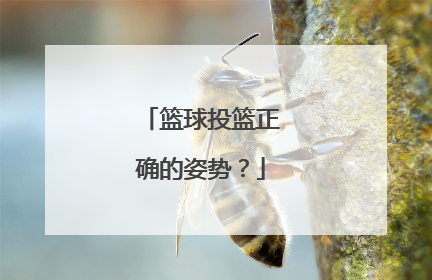 篮球投篮正确的姿势？