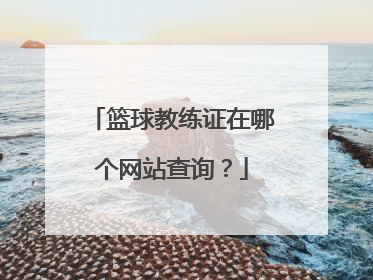 篮球教练证在哪个网站查询？
