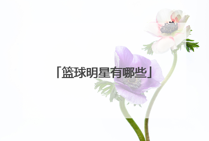 篮球明星有哪些